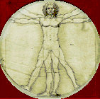devinci-1.gif