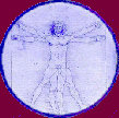 devinci-2.gif